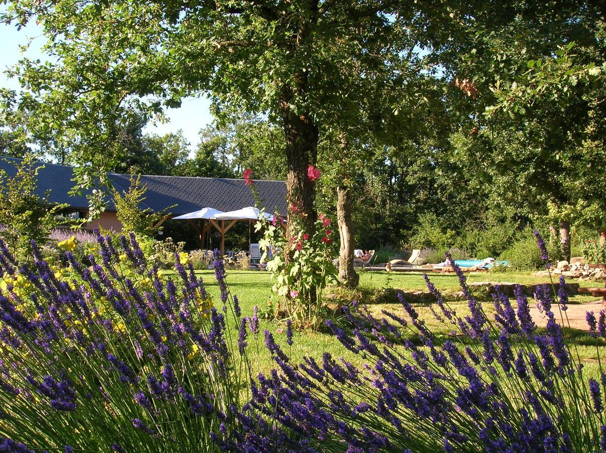La Villa Des Pins Verrieres  Exterior photo